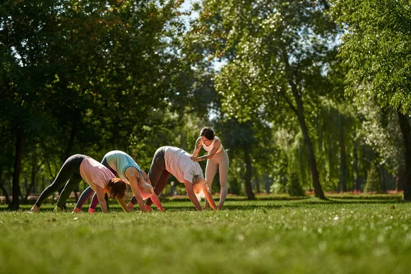 Young caucasian female trainer teaching elderly man and women how practicing yoga in downward facing dog pose in sunny park. Sportive people on green lawn. Concept of healthy lifestyle