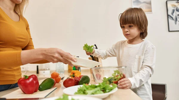 Kafkasyalı Küçük Çocuk Tabağa Salata Koyuyor Mutfağında Kısmi Annenin Ellerinde — Stok fotoğraf