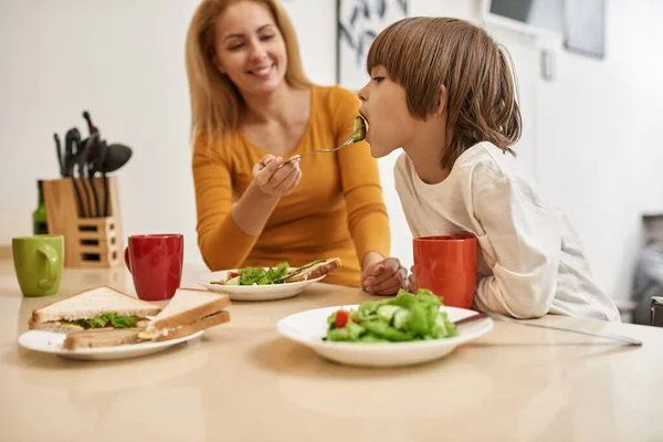 Mãe Sorridente Desfocada Alimentando Menino Com Salada Durante Almoço Jantar — Fotografia de Stock