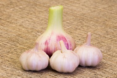 taze sarımsak özlü