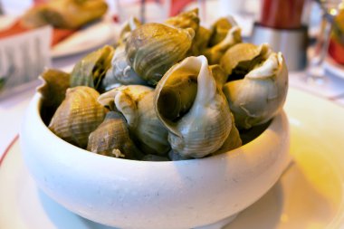 Bulot