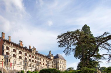 Chateau de Blois