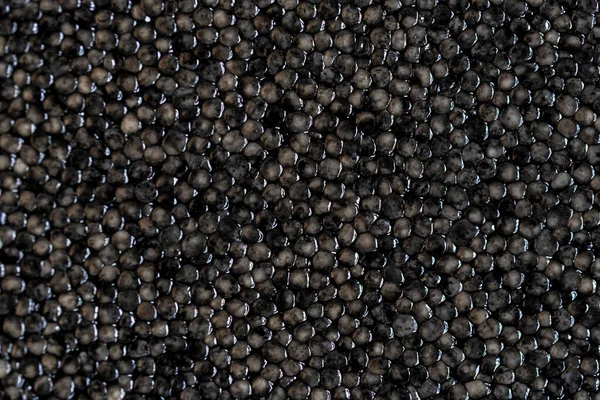 Macro fond de chirurgien noir ou de caviar de béluga — Photo