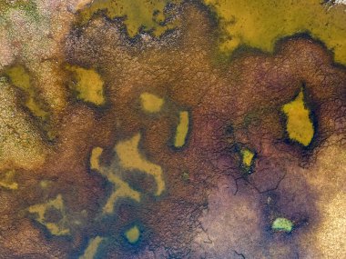 Yaz sonunda kuruyan göleti kapatın.