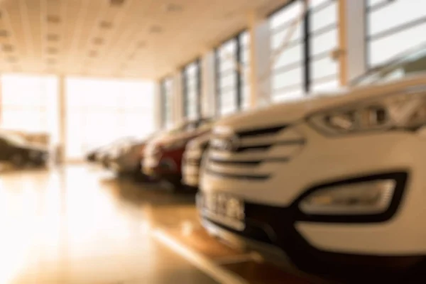 Coches nuevos en el salón de exposición del concesionario iluminado por el sol Imágenes De Stock Sin Royalties Gratis