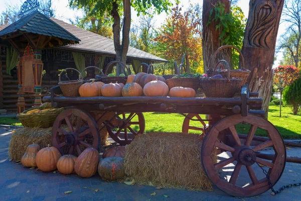 Carro de madera decorativo de calabazas al aire libre. Concepto de Halloween o Acción de Gracias — Foto de Stock