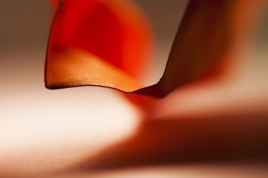 Kağıt şekil arka plan