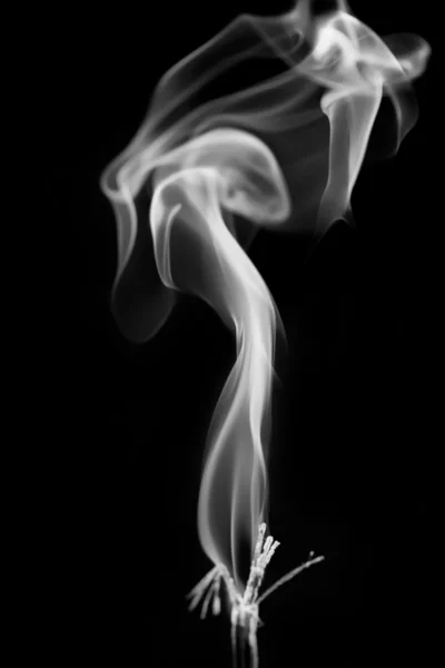 Gray smoke shapes — Stock Photo, Image