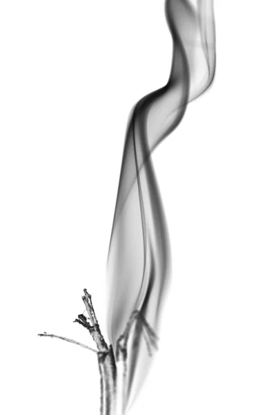 Gray smoke shapes — Stock Photo, Image