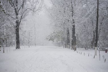 Park kar yağışı