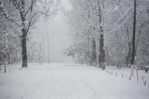 下雪公园 — 图库照片