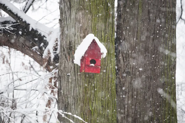 Red tree house for birds in winter — Stock Photo, Image
