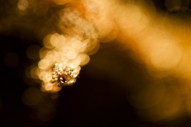 bubbles ve ışık ile soyut sualtı oyunları