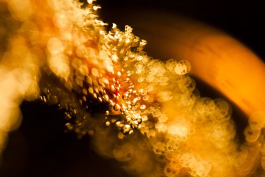 bubbles ve ışık ile soyut sualtı oyunları