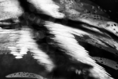 bubbles ve ışık ile soyut sualtı oyunları