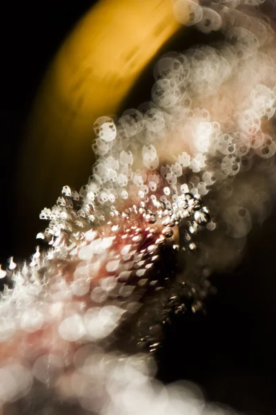 Jeux sous-marins abstraits avec bulles et lumière — Photo