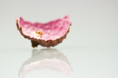 Lychee kabuklu