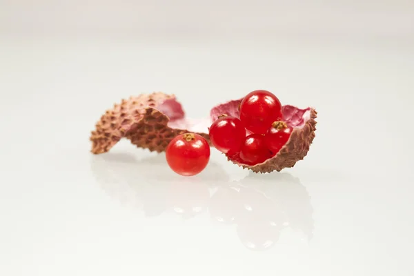 Currants in lychee rinds — Stock Photo, Image