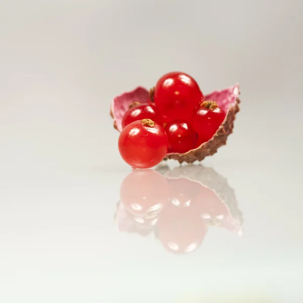 Currants in lychee rinds — Stock Photo, Image