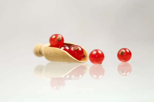 Groseilles rouges dans une cuillère en bois — Photo