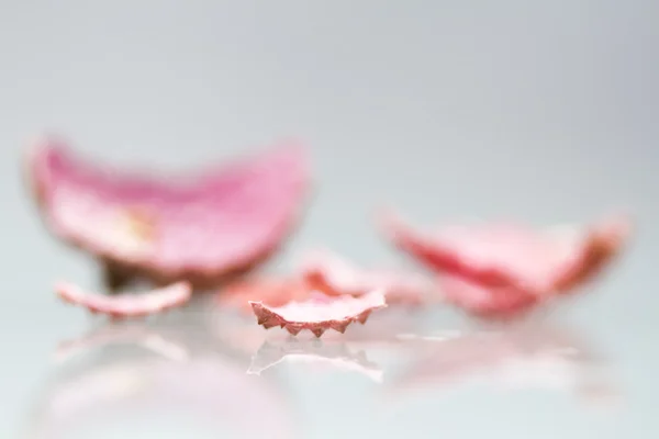 Lychee rinds — Stock Photo, Image