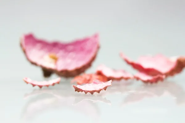 Cortezas de lichi — Foto de Stock