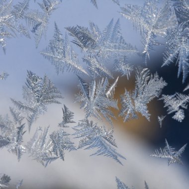 Beyaz ve pembe anason tohumu sprinkles ile rusks