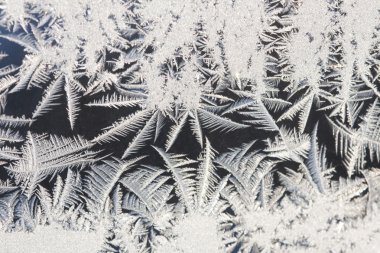 donmuş buz gibi doku