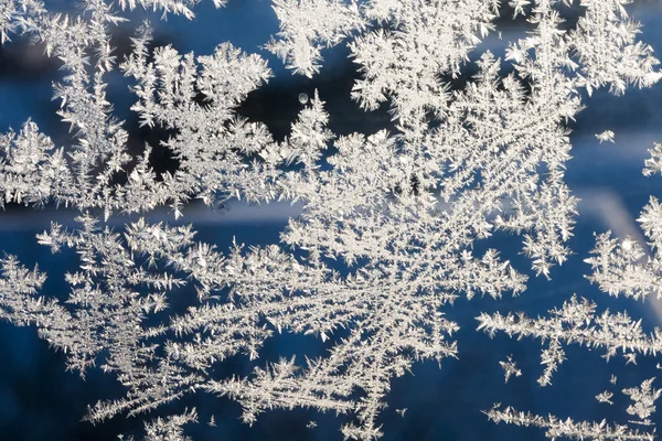 Frostiga mönster — Stockfoto