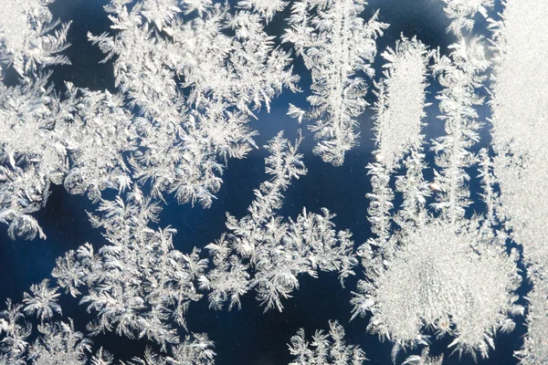 Frostiga mönster — Stockfoto