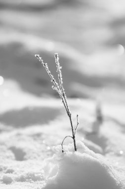 kar üzerinden şube sonu