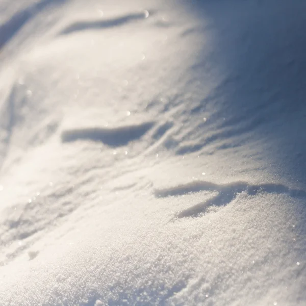 Texture neige — Photo