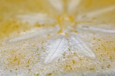 Trabzon hurması doku