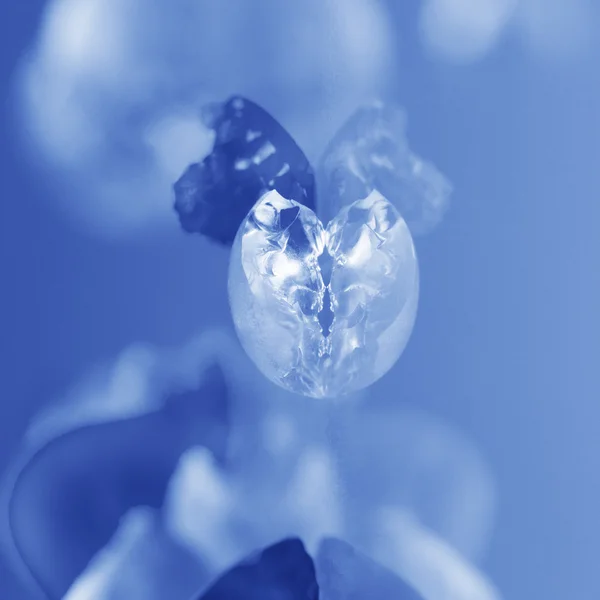 Bolas de geleia azul — Fotografia de Stock