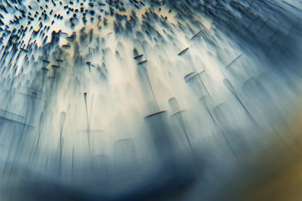 Daireler ile doku blur — Stok fotoğraf