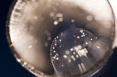 Bokeh ışıkları olan arkaplan