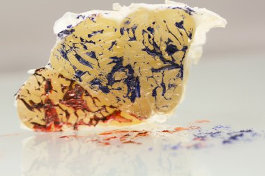 pomelo dilim ile boya