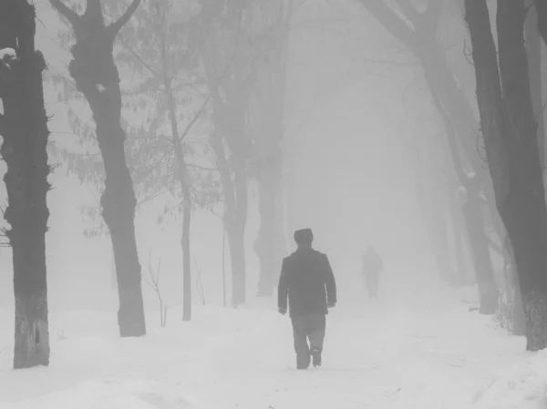 Winter park met passerende mensen — Stockfoto