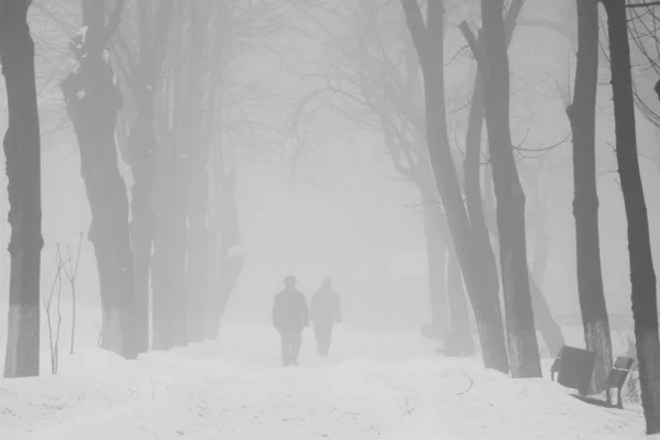 Parque de inverno com pessoas passando — Fotografia de Stock