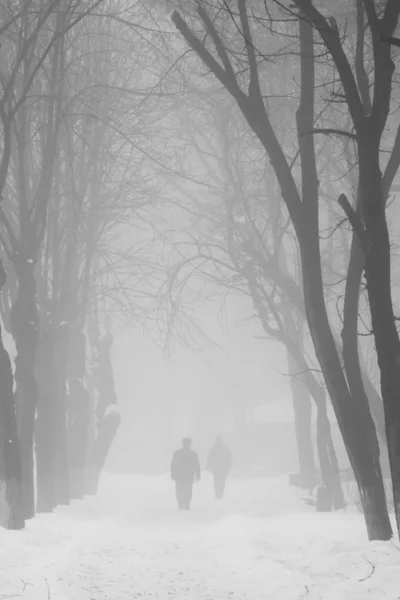 冬季公园与路过的人 — 图库照片