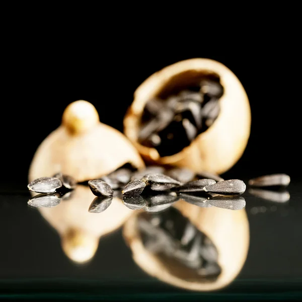 Semillas de girasol dentro de frutos secos — Foto de Stock