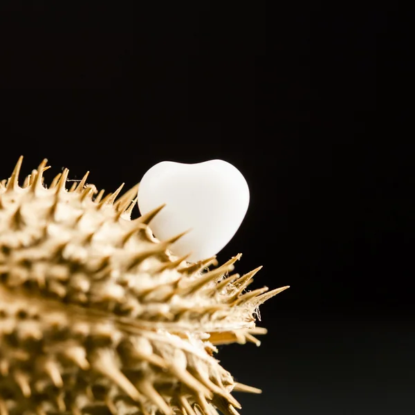 Heart shaped agate on dried fruit — Stock Photo, Image