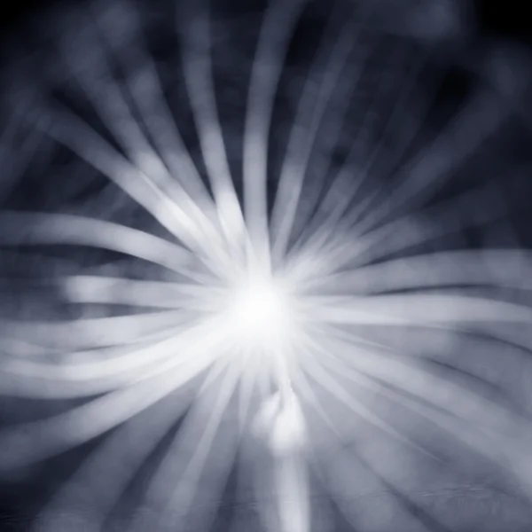 抽象的なタンポポの種 — ストック写真