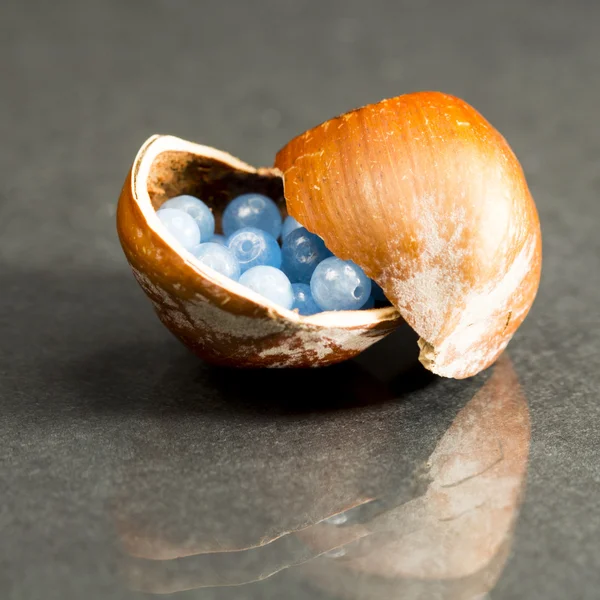 Hazelnut shell with small gemstones — Stock Photo, Image