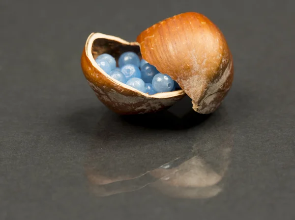 Hazelnut shell with small gemstones — Stock Photo, Image