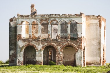ağacın alanında yıkık ev