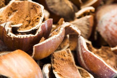 çok portre fındık kabuğu