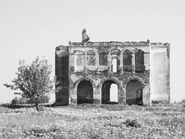 Черно-белый разрушенный дом с деревом рядом в поле — стоковое фото