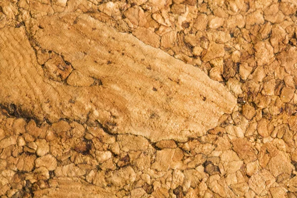 Cork texture background — Stock Photo, Image