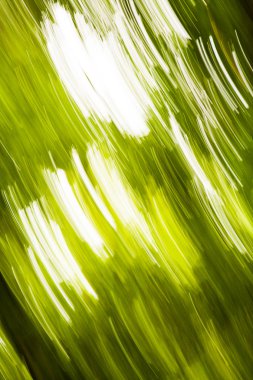 ufuk yeşil ışık arka plan